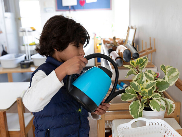 Montessori practical life activity – caring for plants