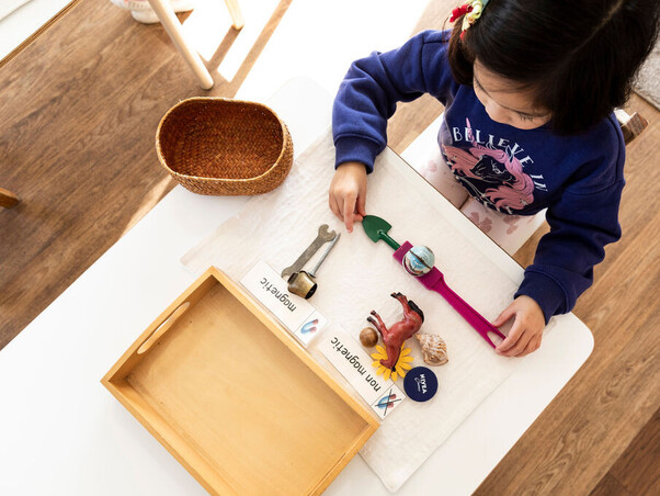 Montessori Learning – sensorial focus, North Shore