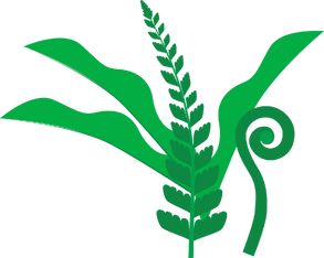 nurturing growth and new beginnings