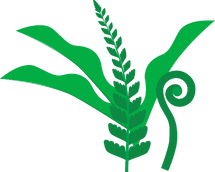 nurturing growth and new beginnings