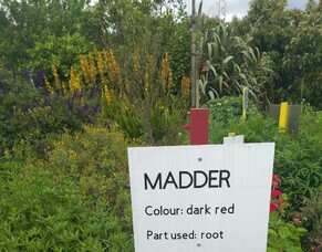 Franklin Tree Crops Association - shows us how to be part of the food system - not just a consumer at the end of the supply chain