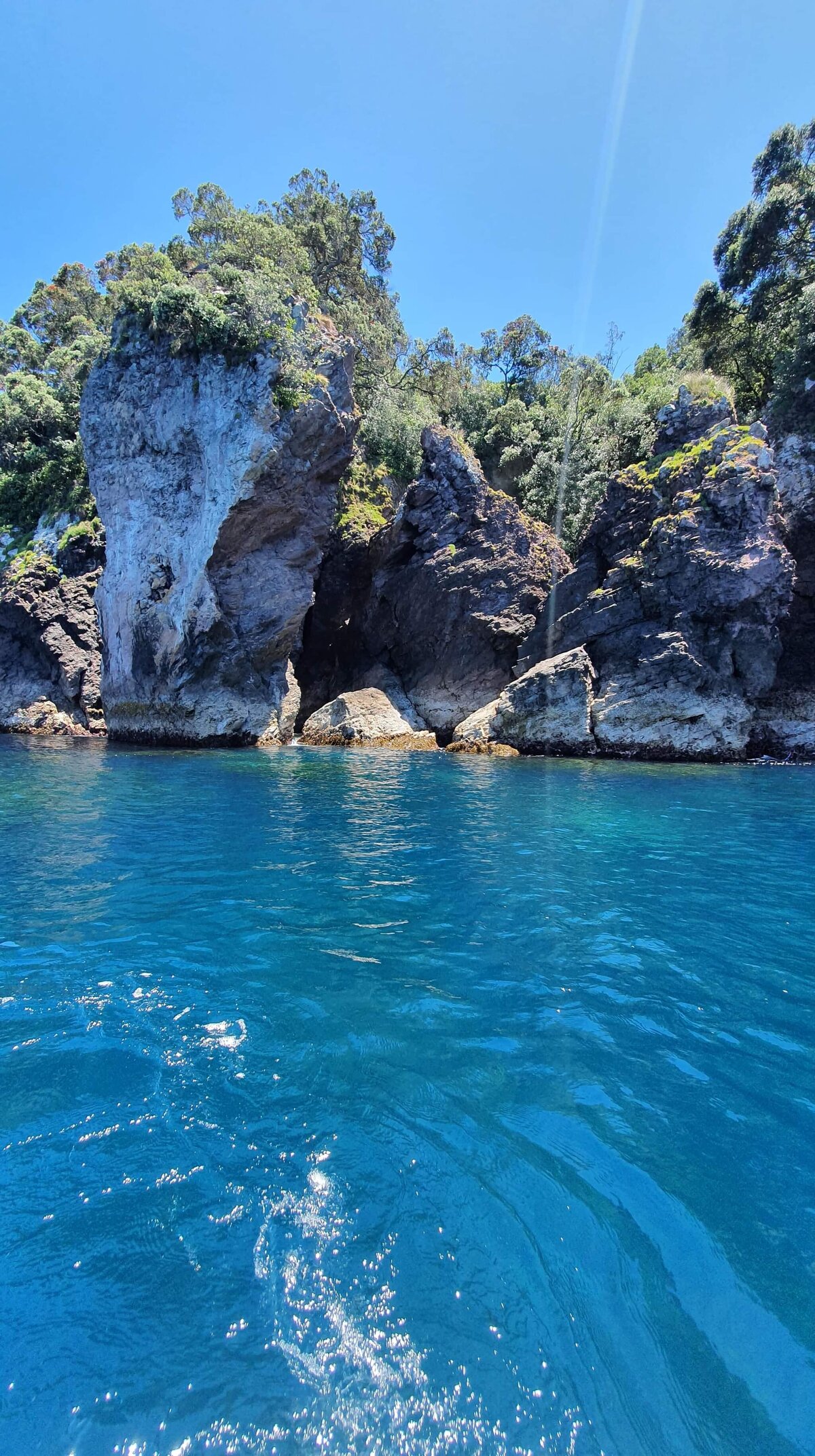 Dive Zone Tauranga Our Dive Sites