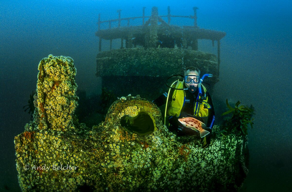 Dive Zone Tauranga Our Dive Sites