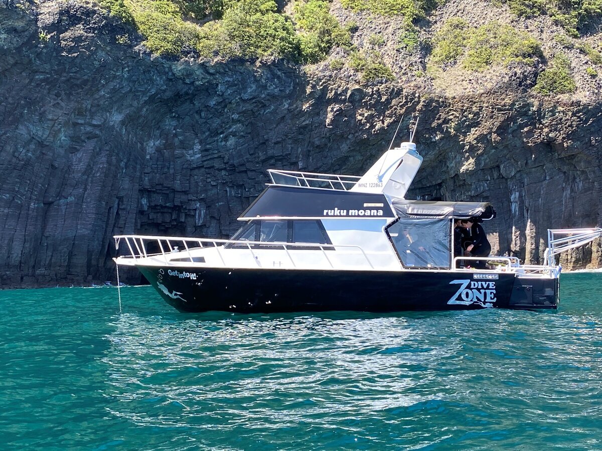 Dive Zone Tauranga Local Dive Trips and Dive Holidays