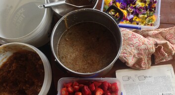 Online Fermentation course