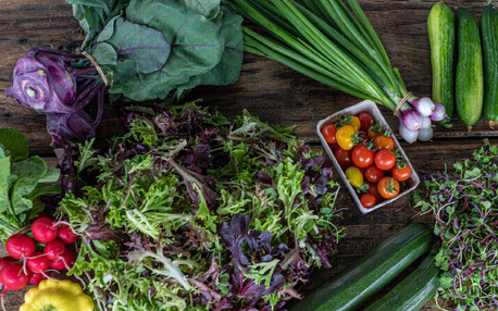 Home Gardening Online Course - Access 5+ hours of video content from Yotam on how to grow an abundant garden!NEW SALE PRICE! Now Only $99