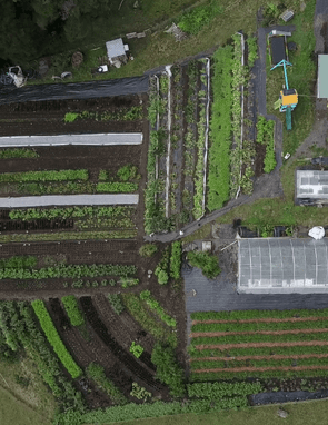 Two Day Market Gardening Workshop