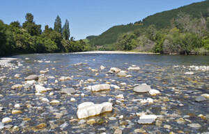Restoration Ecology and Ecosystem Management in New Zealand
