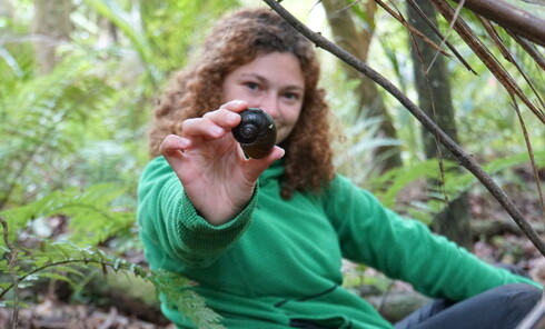 Ecology In Action - (Summer)