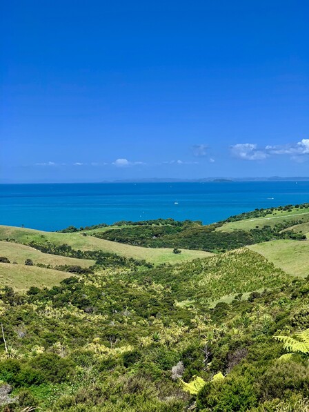 New Zealand Coast Line