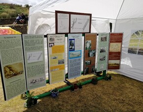 Waitangi Day - Campbell Park