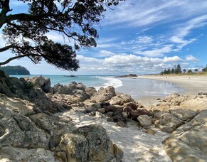 What you need to know before buying a home in Tauranga