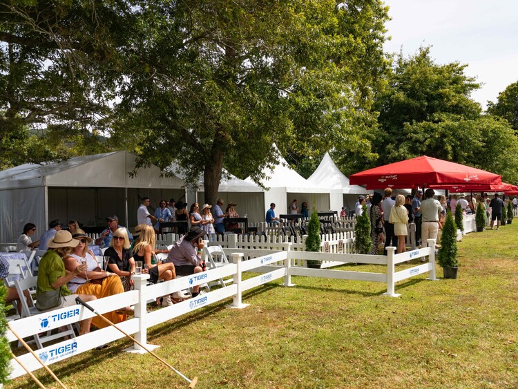 Marquee set up on lawn with outdoor lounge and bar area – Auckland outdoor event hire with marquee and accessories