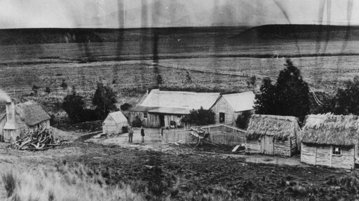 NZ Wool, Wollen Jersey, Hunter Hills, Farmstay, Organic Wool, Organic Meat, New Zealand Farm Experience, Hunter Hills, Working Farm, Timaru, Hunter Hills Organics, 100% Pure NZ Wool, Wool Rugs, Lambswool Blankets, Teschemaker, Otaio