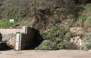 Greenwaste & Cleanfill - Dumping on site.