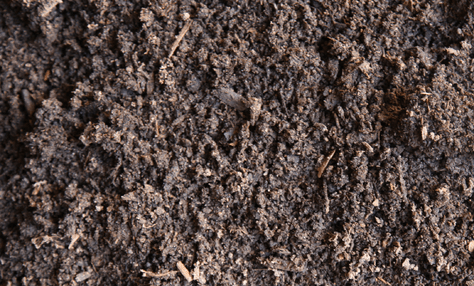 Lawn Soil, Lawn Mix
