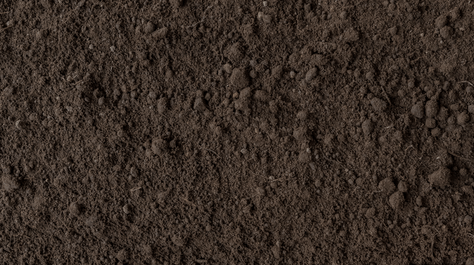 Topsoil