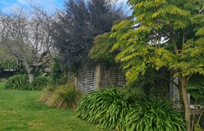 Property Clean Up - Full garden clean up