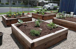 Planter Boxes - Custom made, we install too.