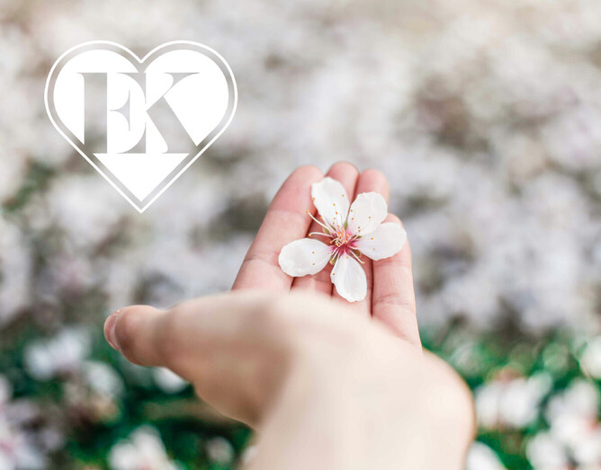 Image of a hand holding a flower