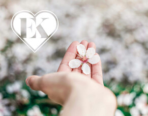 What is a Trauma Coach?