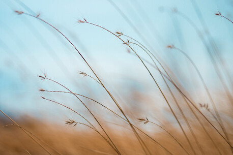 My Mind Today - Free Download