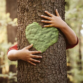 Family harm / family violence help Cambridge. Cambridge Community House