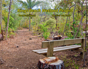 &quot;One Man&#039;s Dream&quot; - A History of the Rings Beach Wetland Group