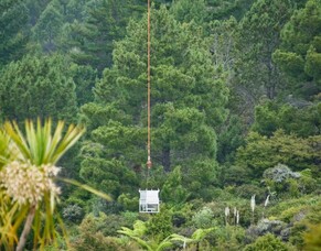 Rings Beach Wetland Group 2019 Update