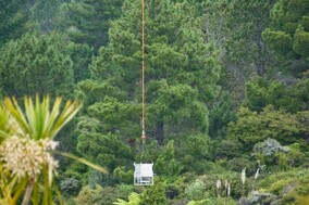 Restoring Treasures with Rings Beach Wetland Group — Predator Free