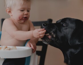 DEVELOPING SOCIAL COMPETENCE