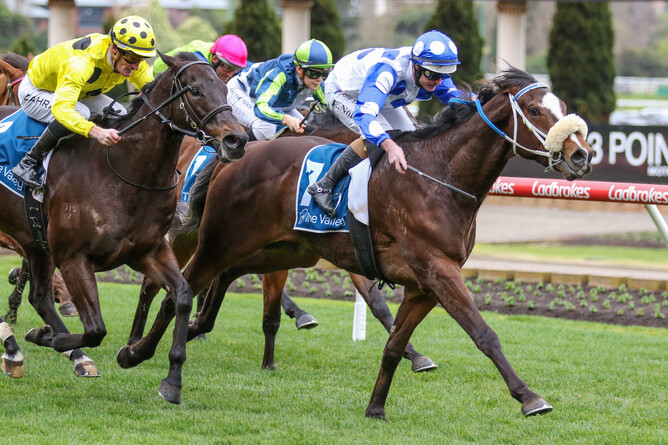 Hennessy Lad on his way to victory at The Valley - Photo: Bruno Cannatelli