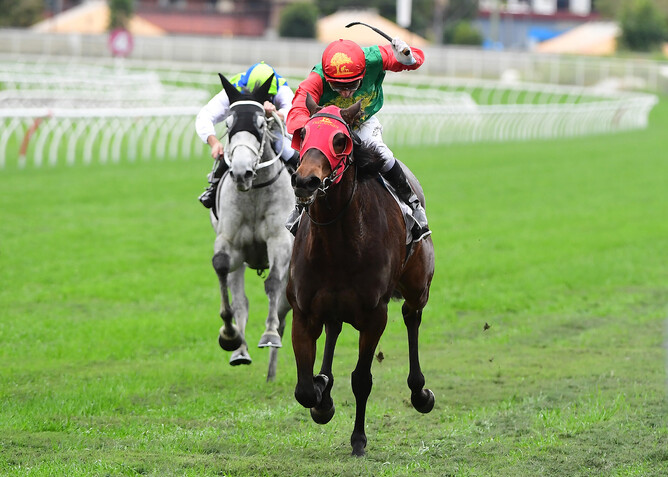 Royally bred mare Zayydani scores easily in the Listed Tattersall’s Gold Crown (2137m) at Eagle Farm Photo Credit: Grant Peters
