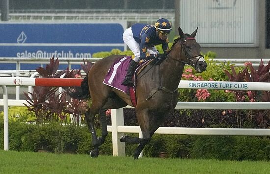 Lim's Kosciuszko wins the 2023 Raffles Cup at Kranji. - Photo: STC