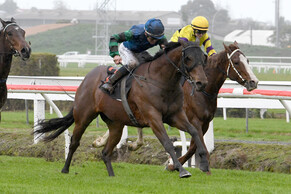 Sultan Of Swing back in winning rhythm