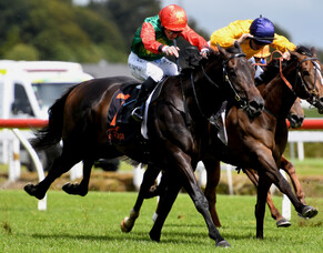 Te Rapa double for Trelawney