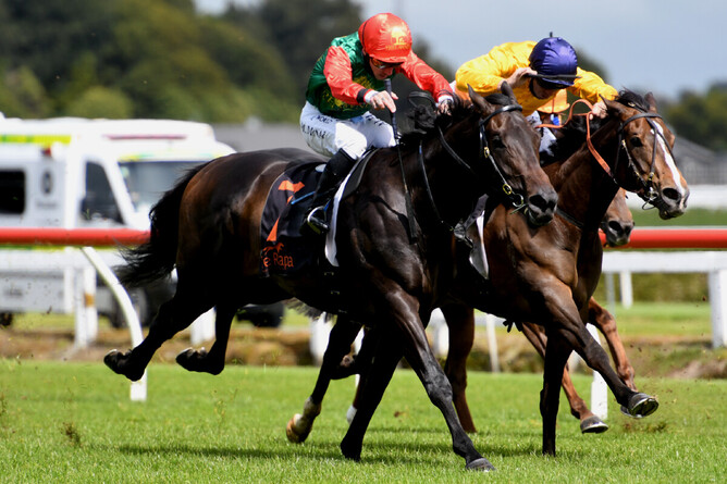 Pareanui Bay winning at Te Rapa on Friday. Photo: Kenton Wright (Race Images)