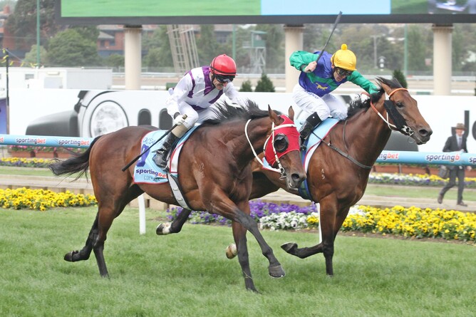 Ocean Park (outside) winning the 2012 Gr.1 Cox Plate (2040m). Photo: Supplied