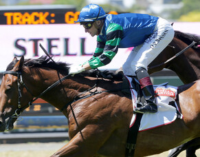 Sultan of Swing set for G2 test