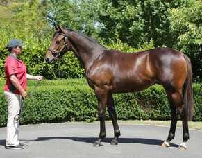 Fortified strengthens Derby prospects