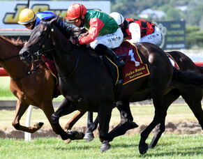 Picket fence continues for exciting Pareanui Bay