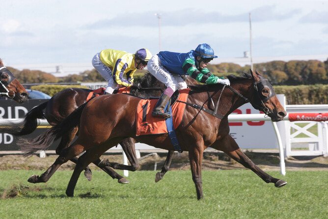 Course specialist Sultan Of Swing maintains his perfect record at Te Rapa - Trish Dunell