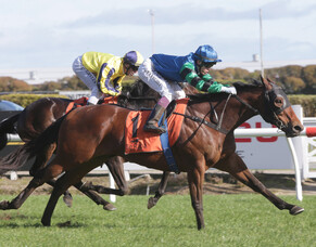 Bachelor delivers special win