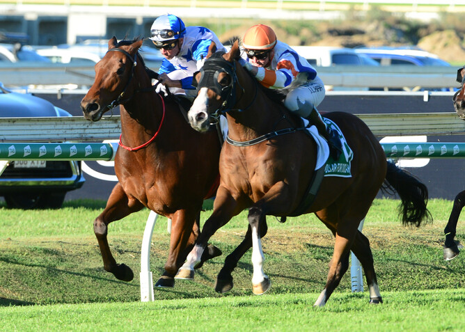 The Bostontian (blue cap) is the latest Trelawney Stud Group One winning graduate - Grant Peters