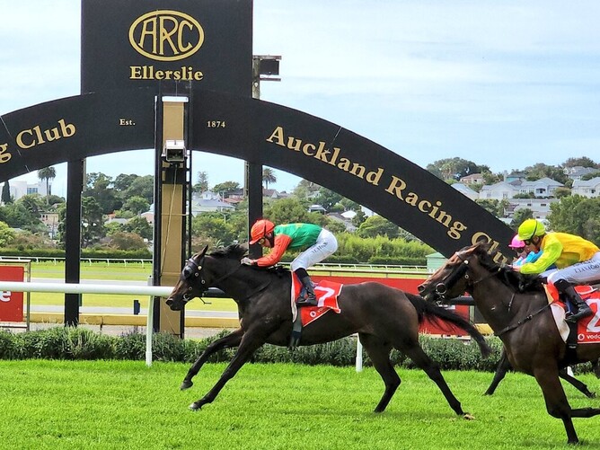 Samiam Seussie continues her good run of form with a win at Ellerslie