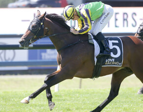 Gundown ready to fire third-up