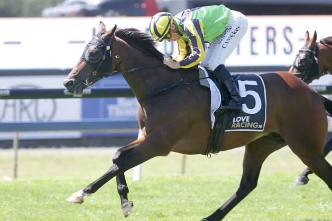 Gundown heads to Sandown on Saturday. Photo: Trish Dunell