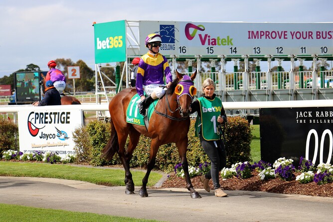 Ocean's Fourteen. Photo: Darryl Sherer