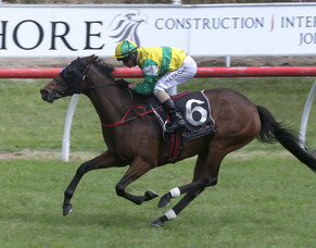 Concert Hall caps superb week for Cambridge pair