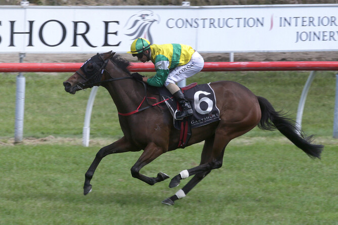 Concert Hall and Vinnie Colgan are well clear near the finish of the Gr.2 Gartshore Tauranga Stakes (1600m) Photo Credit: Trish Dunell